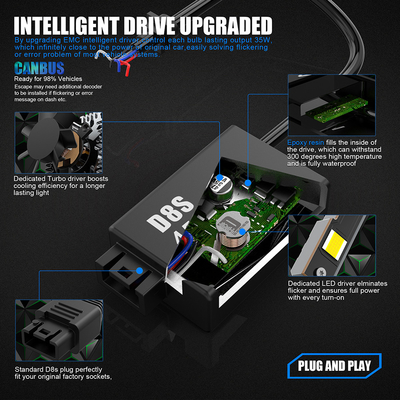 6000k Canbus Led Headlight Bulbs ROHS Approved ODM Available D3S D4S